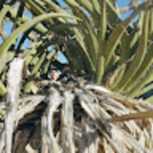 Meet your Posher, Timothy